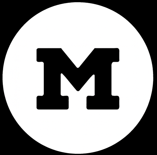 Medistyk